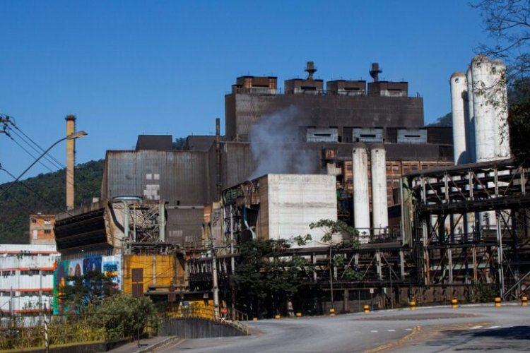 A Importância econômica